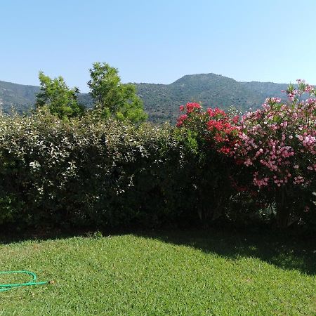 Ou Souleou Apartment Bormes-les-Mimosas Bagian luar foto