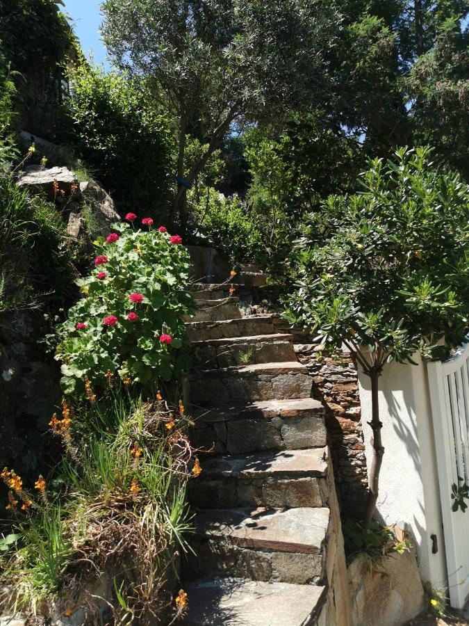 Ou Souleou Apartment Bormes-les-Mimosas Bagian luar foto