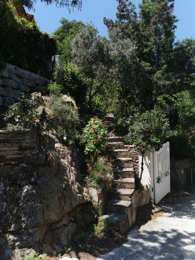 Ou Souleou Apartment Bormes-les-Mimosas Bagian luar foto